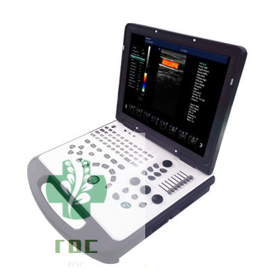 4D portable ultrasound