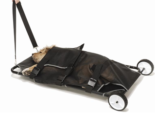 EM-7 Animal Stretcher