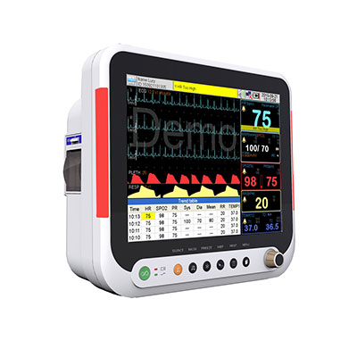 R9 (15 inch) Multi-Parameter Monitor  