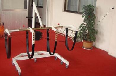 MF00D electric casket lifter