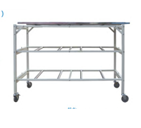3 tiers racking for cadaver