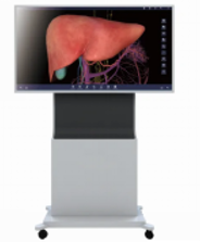 Digital Human Anatomy System, Anatomage 3D Body Virtual Autopsy Table for School