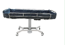 BS02 electric hospital bath bed