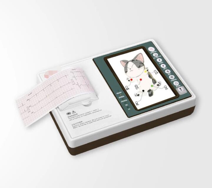 Electrocardiograph Portable 3 Channel Digital EKG ECG Machine Veterinary ECG Machine