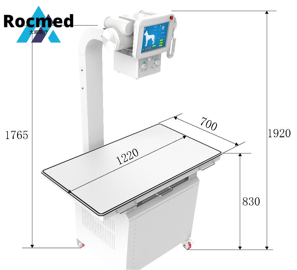Radiography Digital Medical Portable Vet Veterinary Xray Imaging 320mA 20kw Dr Digital X-ray Machine for Pet Clinic