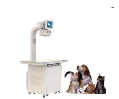 Stationary Portable Hospital Clinic Instrument 20kw 200mA Pet Animal Veterinary Digital X Ray Machine with Flat Panel Detector