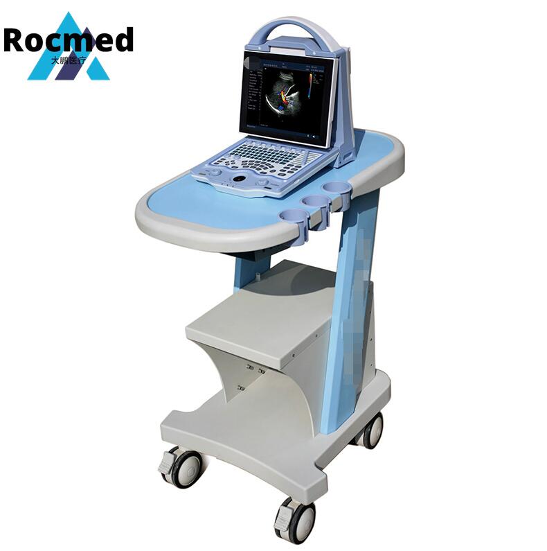 Factory Price Medical Veterinary Pig/Sheep/Goat/Cow/Horse/Dog /Cat/Pet Portable Laptop Portable Convex Probe Linear Probe, Rectal Probe, Veterinary Ultrasound